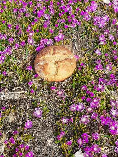 26 pan pascua