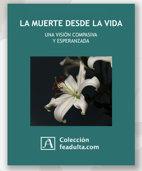 26A libro
