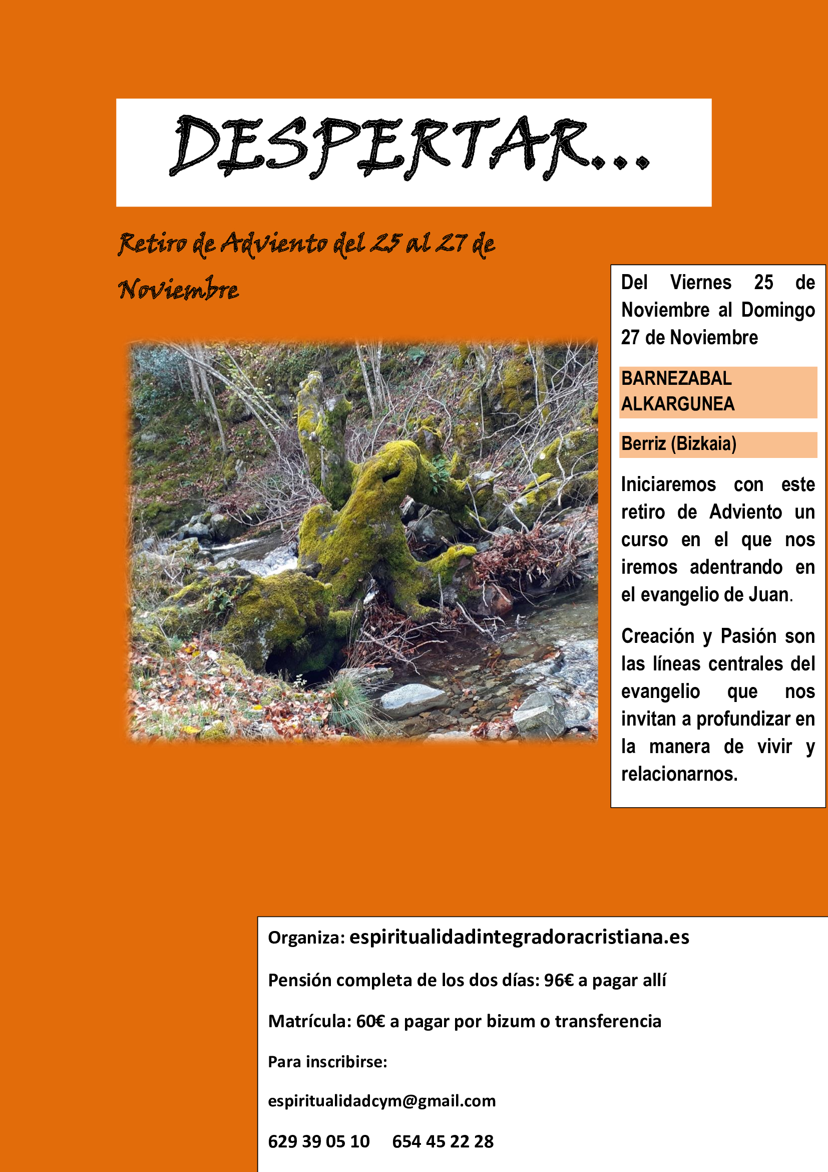 Adviento 2022 web