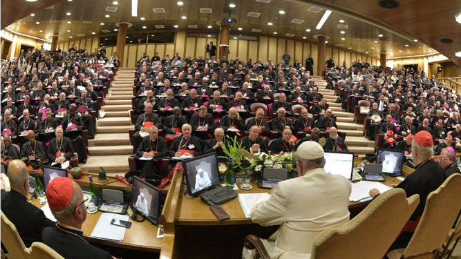 Francisco Sinodo Concilio Vaticano II