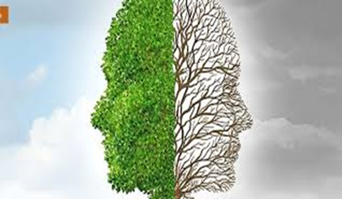 cara arbol