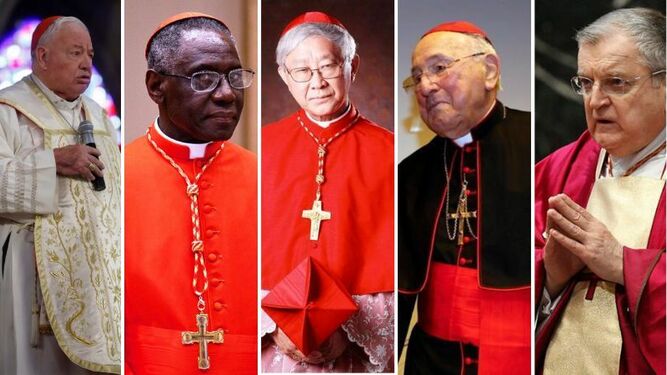 cardenales nuevas dubia Papa