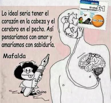 cerebro1