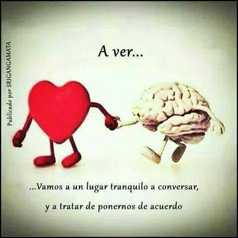 cerebro3