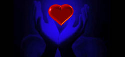 corazon