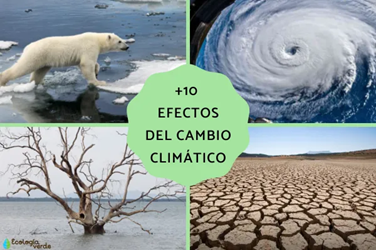 efectos cambio clima