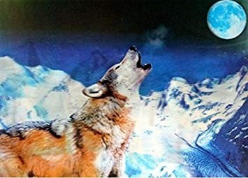 lobo luna