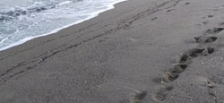 mar huellas