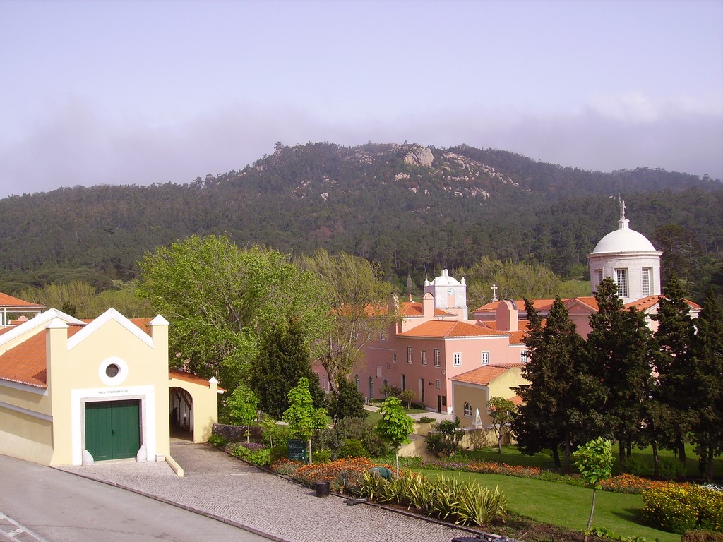 mater fatima2