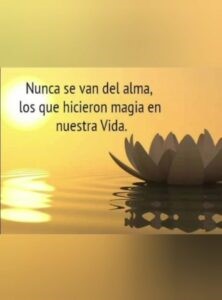 muchas gracias2