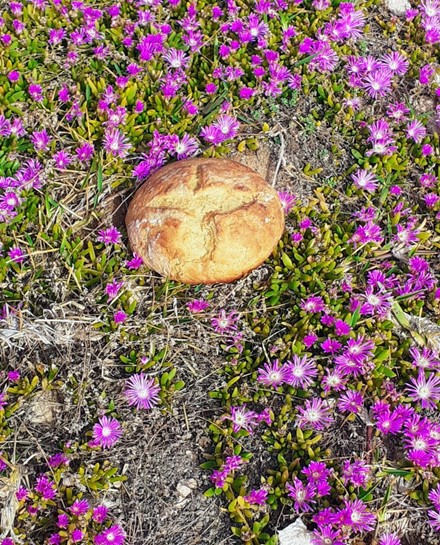 pan flores