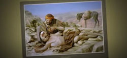 samaritano amor