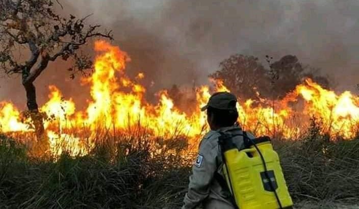 sinodales bolivianos3